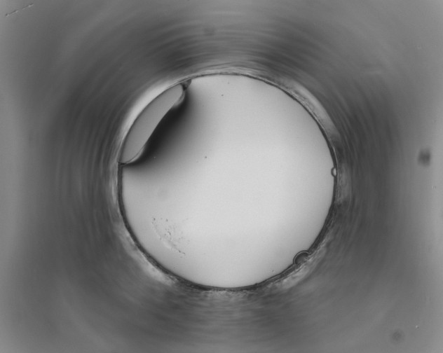 X0000094070812200711161546