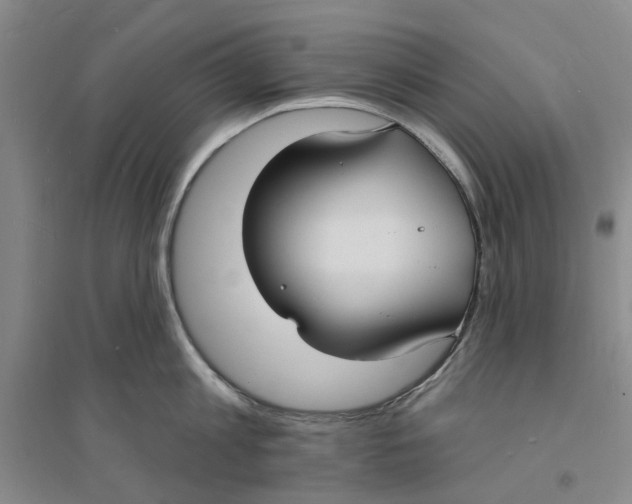 X0000094070813200711161546