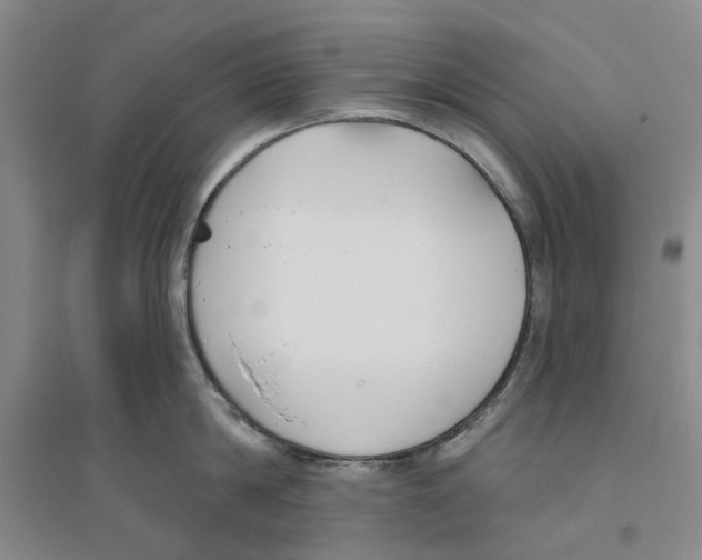 X0000094070814200711161546
