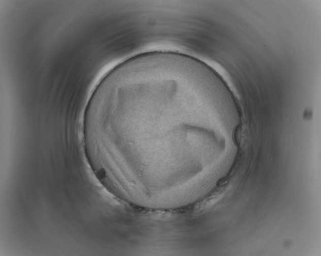 X0000094070815200711161546