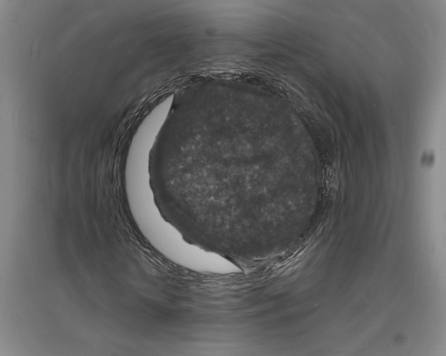 X0000094070818200711161545