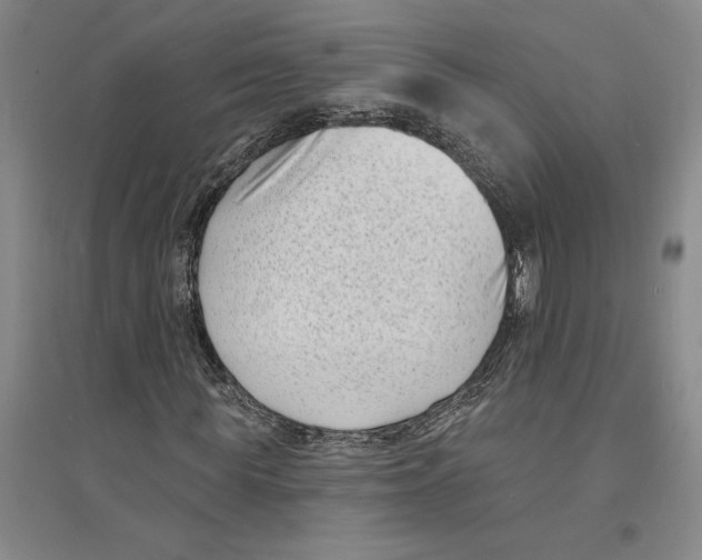 X0000094070819200711161545