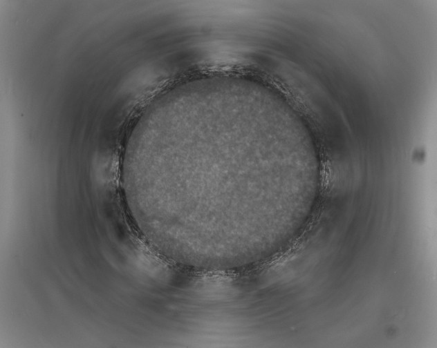 X0000094070820200711161545