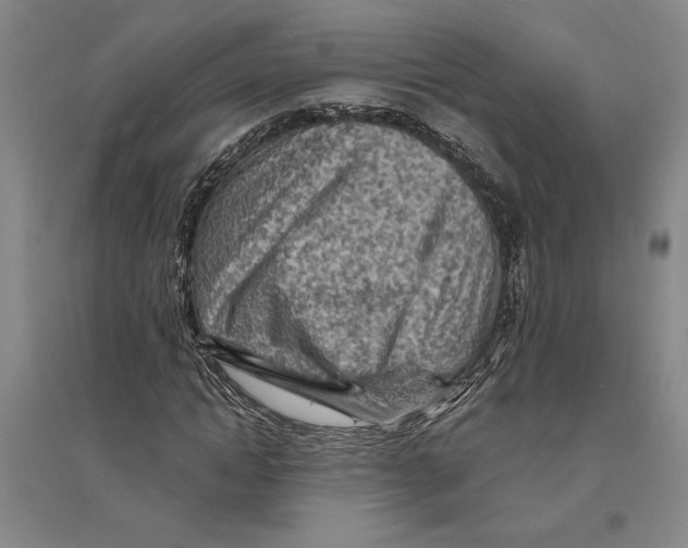 X0000094070822200711161545