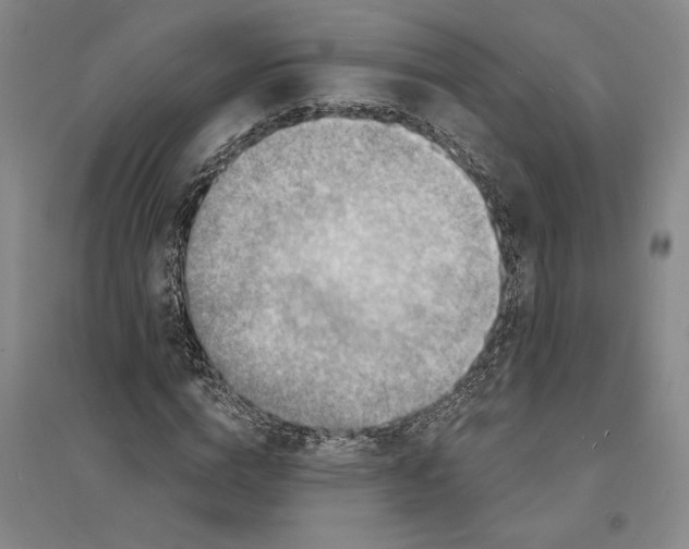 X0000094070824200711161545