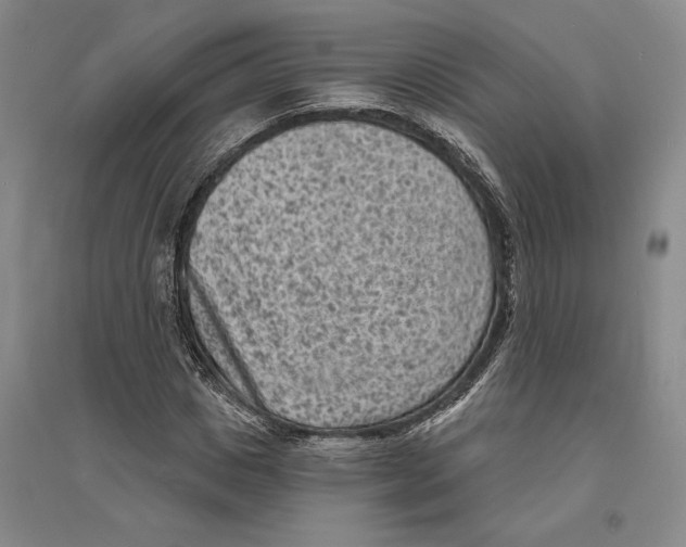 X0000094070825200711161545