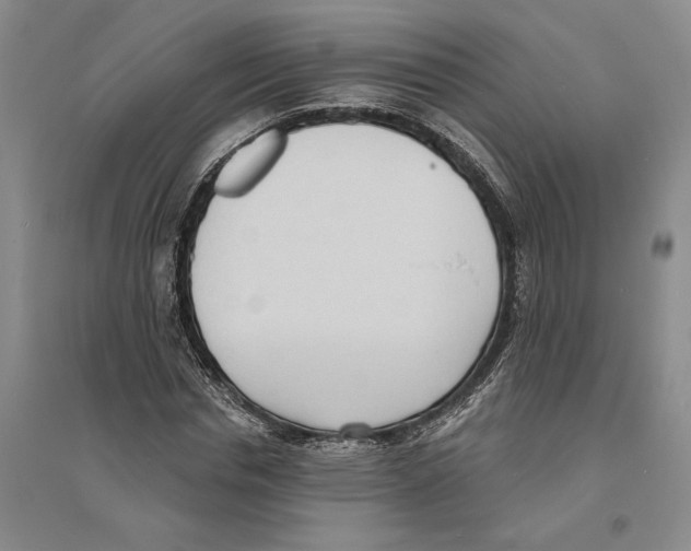 X0000094070826200711161545