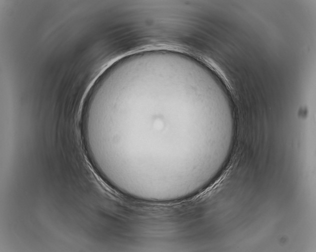 X0000094070828200711161545