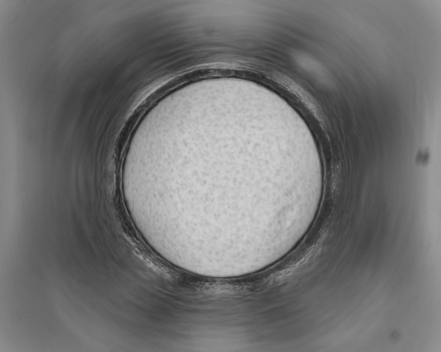 X0000094070829200711161545