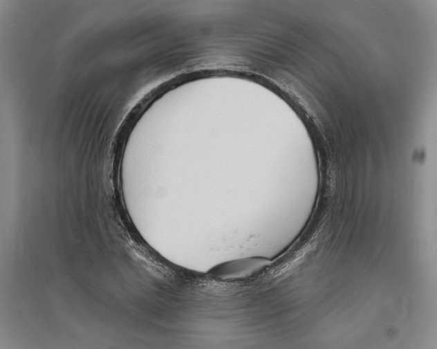 X0000094070830200711161545