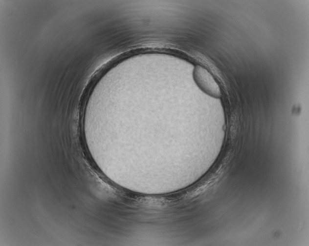X0000094070831200711161545
