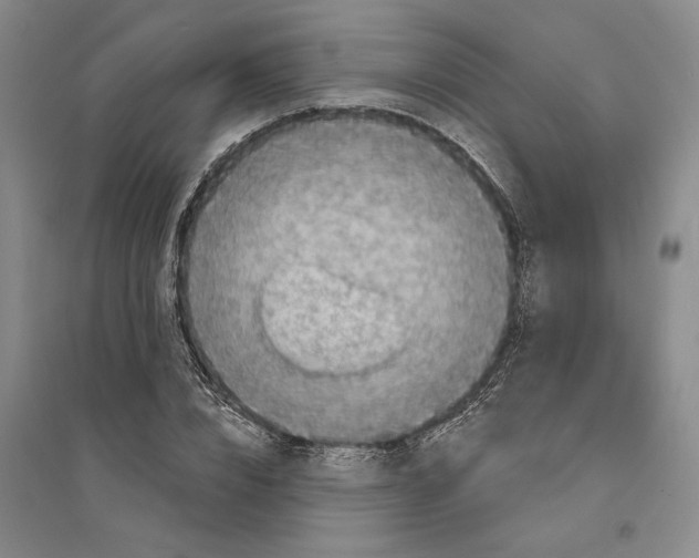 X0000094070832200711161545