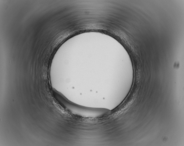 X0000094070833200711161545