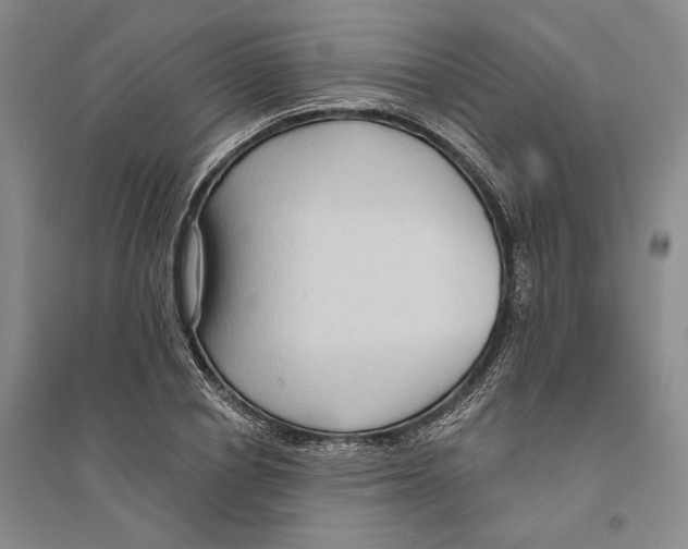 X0000094070834200711161545