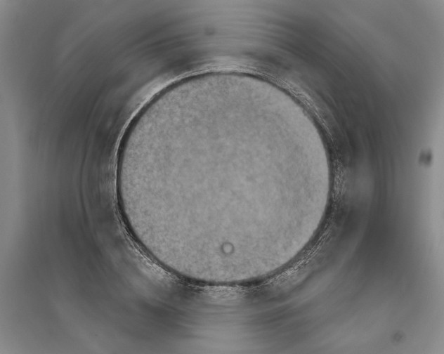 X0000094070836200711161545