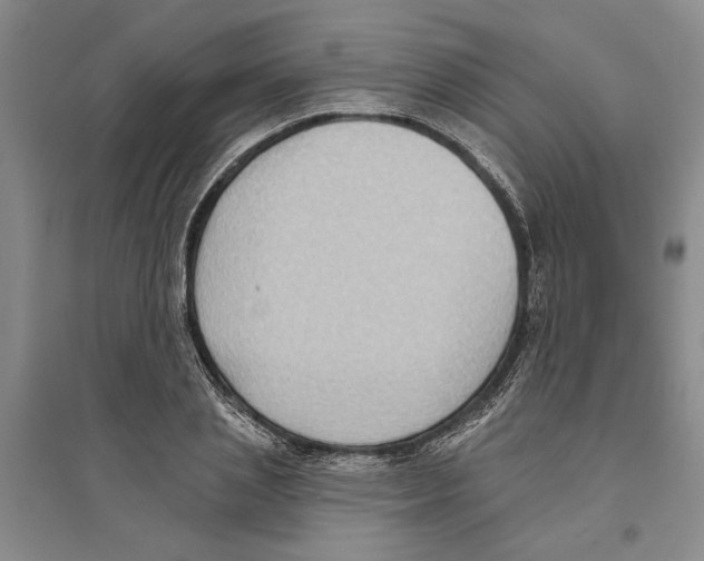 X0000094070837200711161545