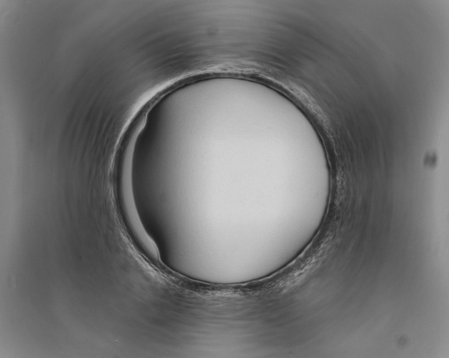 X0000094070838200711161545