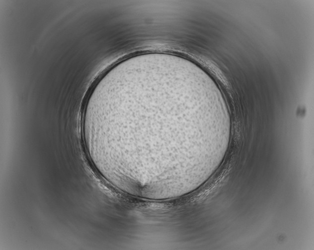 X0000094070839200711161545