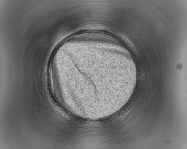 X0000094070840200711161545