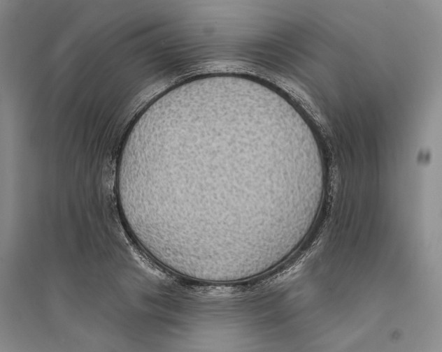 X0000094070841200711161545