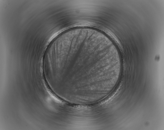 X0000094070842200711161545