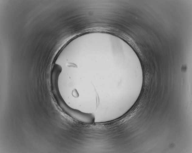 X0000094070844200711161545