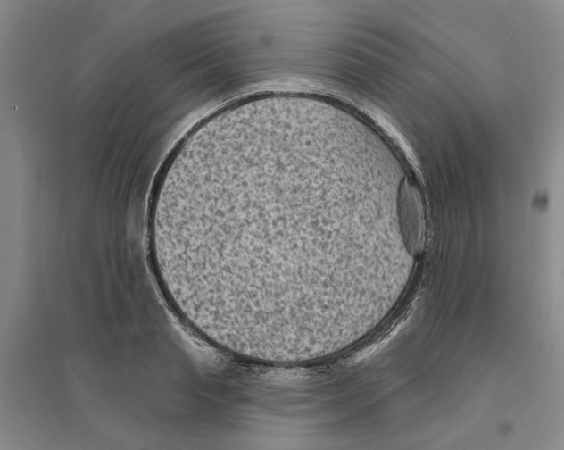X0000094070845200711161545