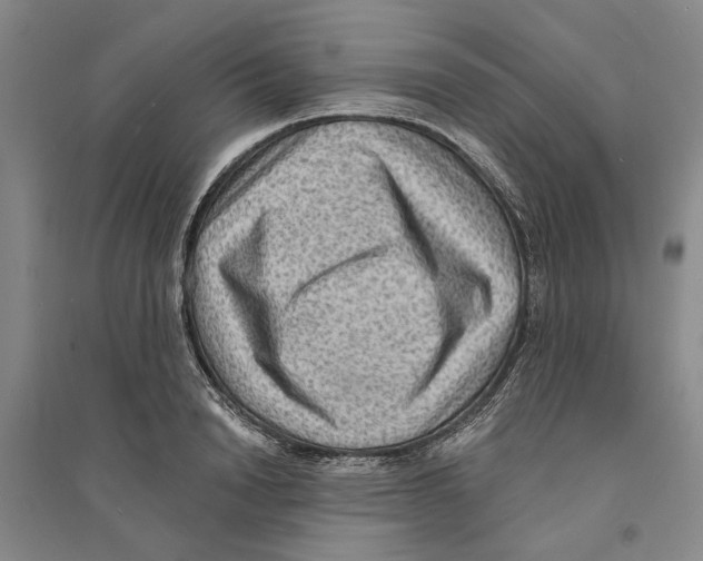X0000094070846200711161545