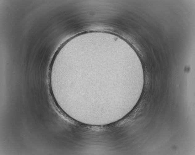X0000094070848200711161545
