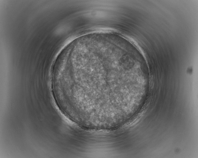 X0000094070851200711161545