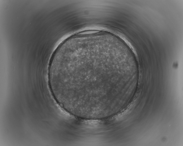 X0000094070853200711161545