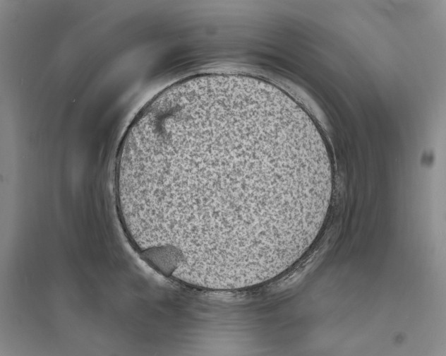 X0000094070855200711161545