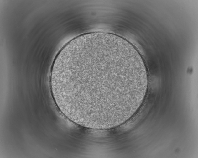 X0000094070856200711161545