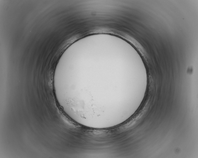 X0000094070857200711161545