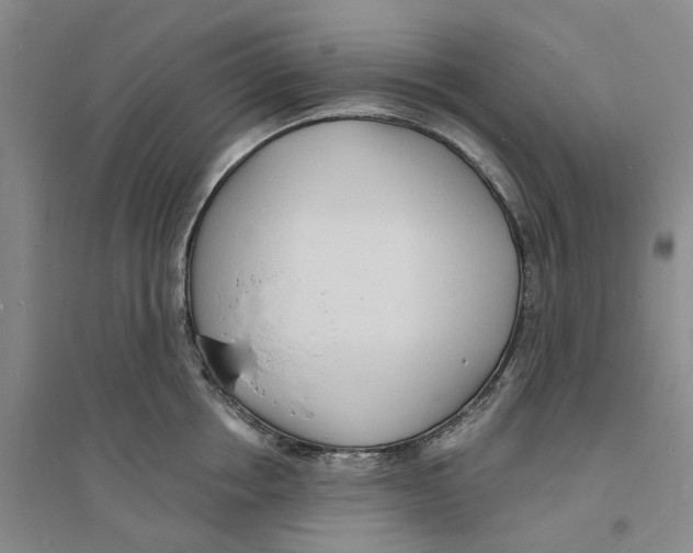 X0000094070858200711161546
