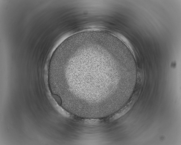 X0000094070859200711161546