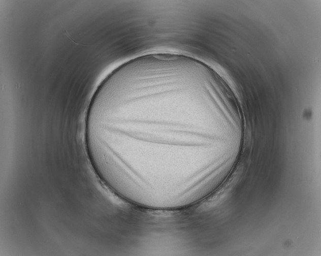 X0000094070862200711161546