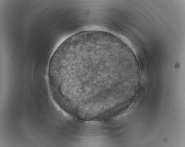 X0000094070863200711161546