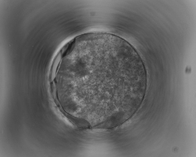 X0000094070864200711161546