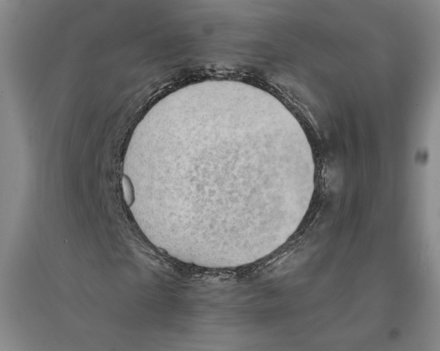 X0000094070865200711161545