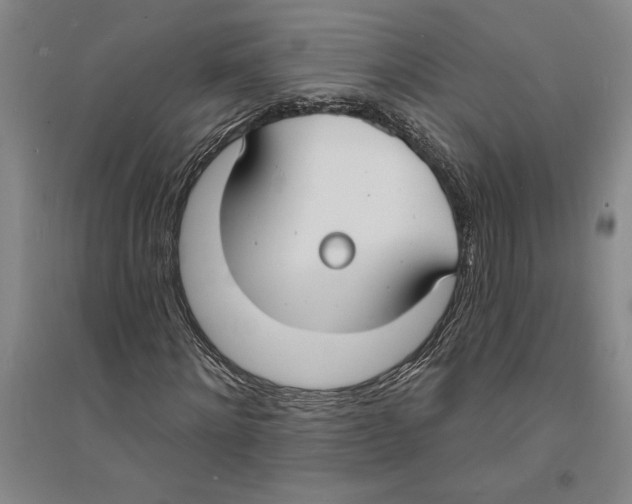 X0000094070868200711161545