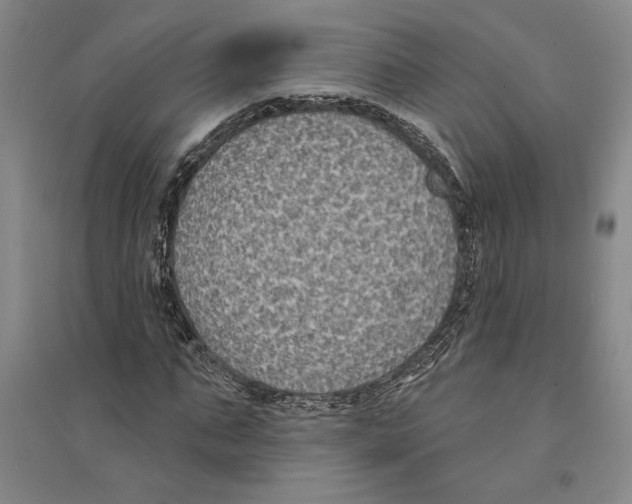 X0000094070871200711161545