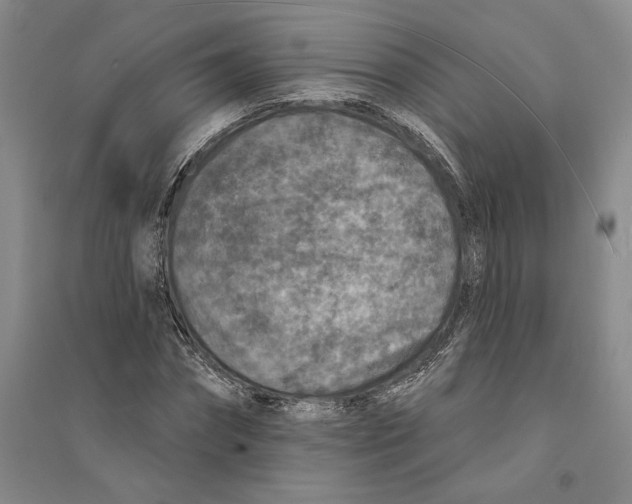 X0000094070874200711161545