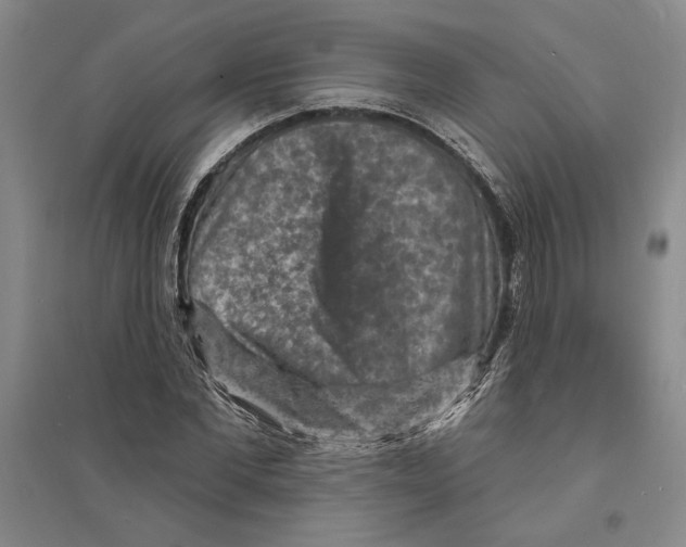 X0000094070877200711161545