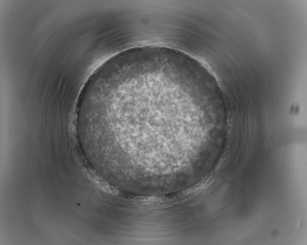 X0000094070879200711161545
