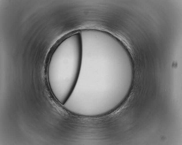 X0000094070880200711161545