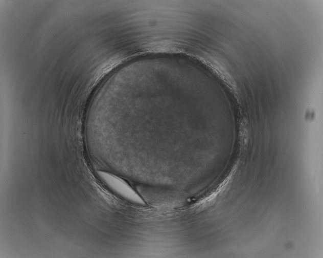 X0000094070881200711161545