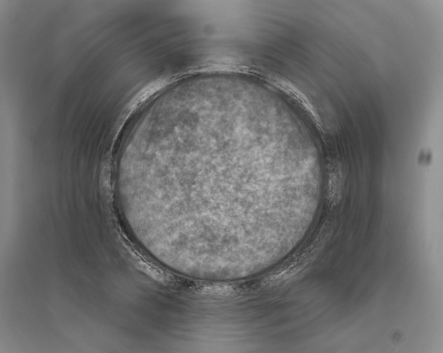 X0000094070882200711161545