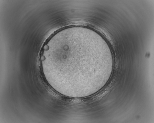 X0000094070883200711161545