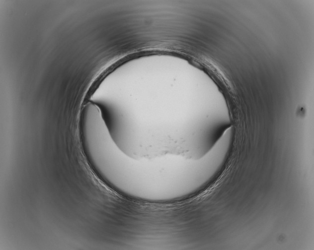 X0000094070884200711161545
